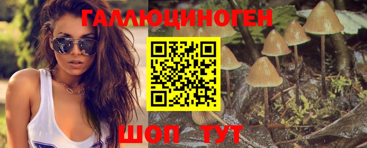 Галлюциногенные грибы мухоморы Полысаево