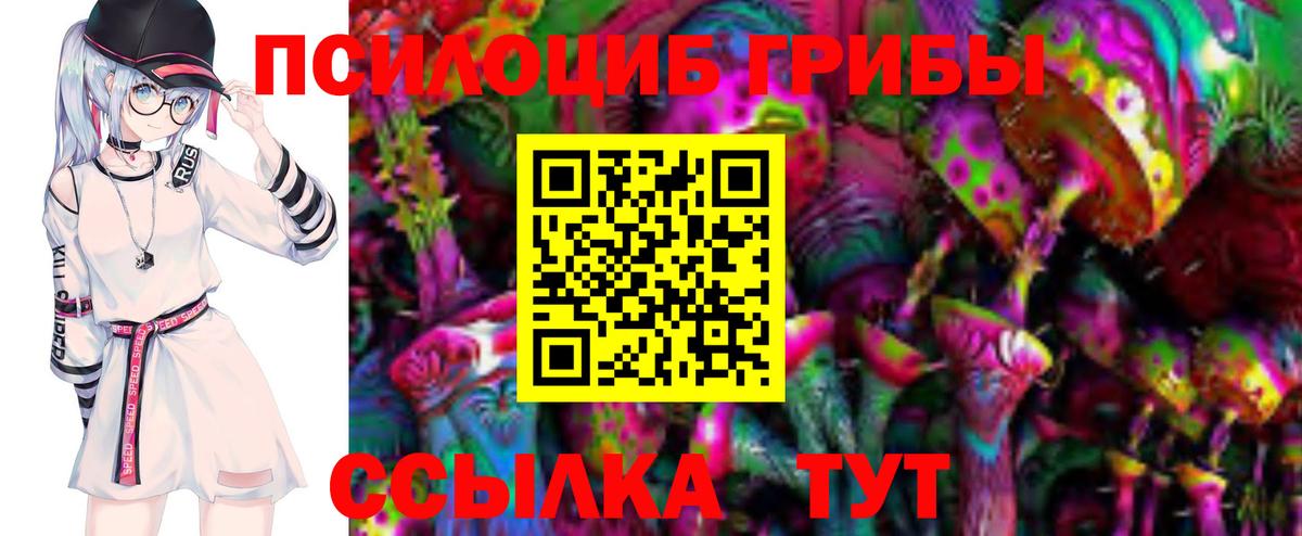 Полысаево  Галлюциногенные грибы прущие грибы  Вход с VPN 