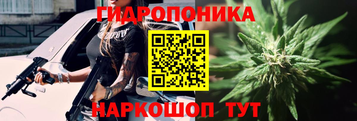 Каннабис индика Полысаево